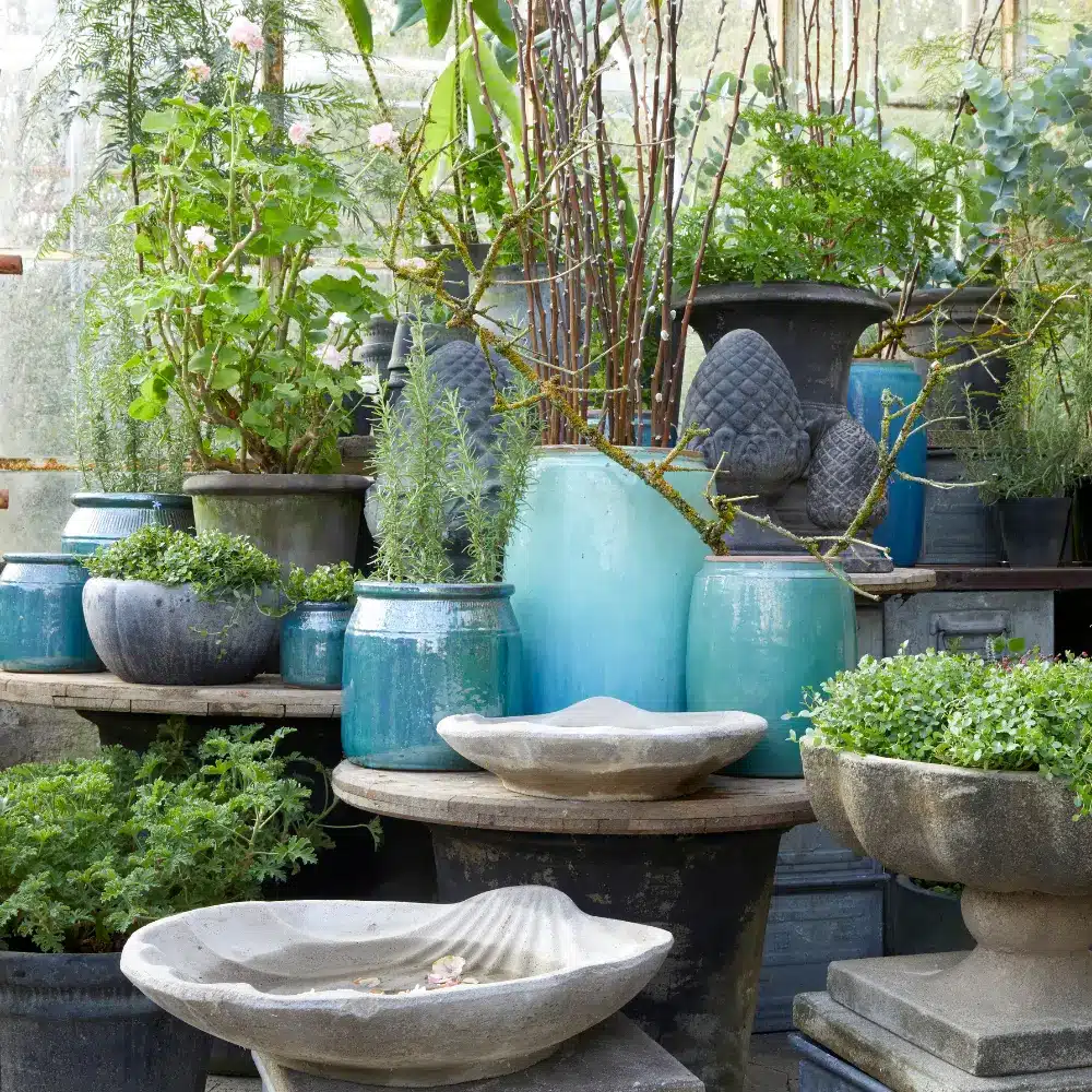 Grønne planter i plantekrukker